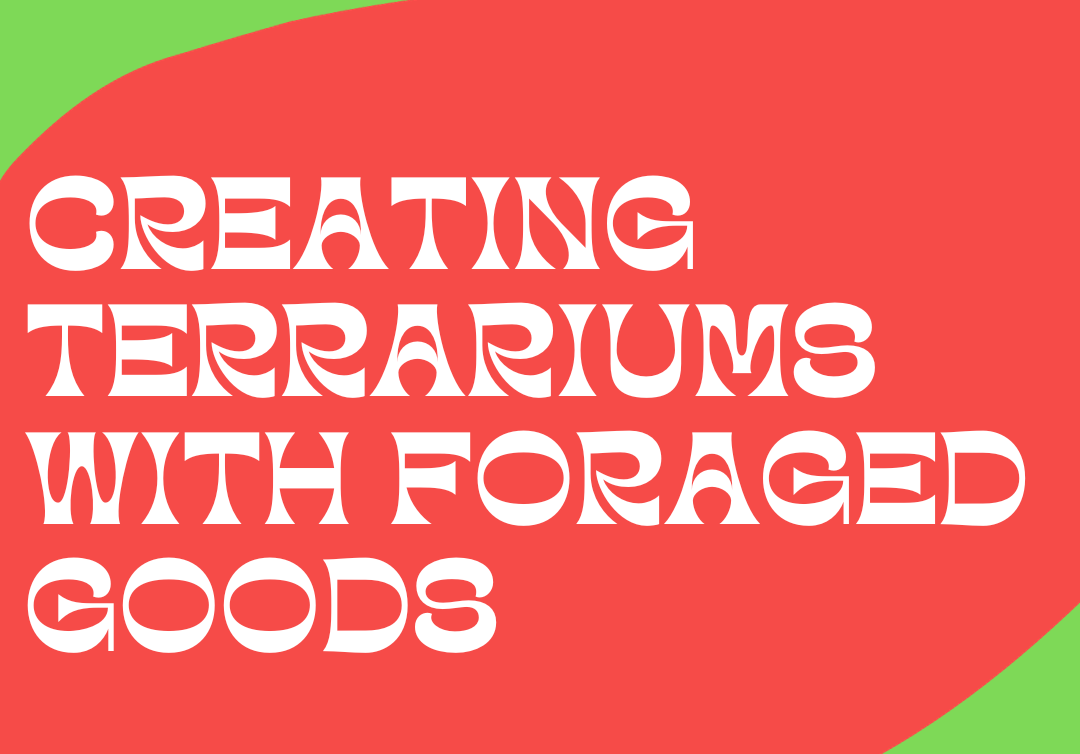 Creating Terrariums With Foraged Goods