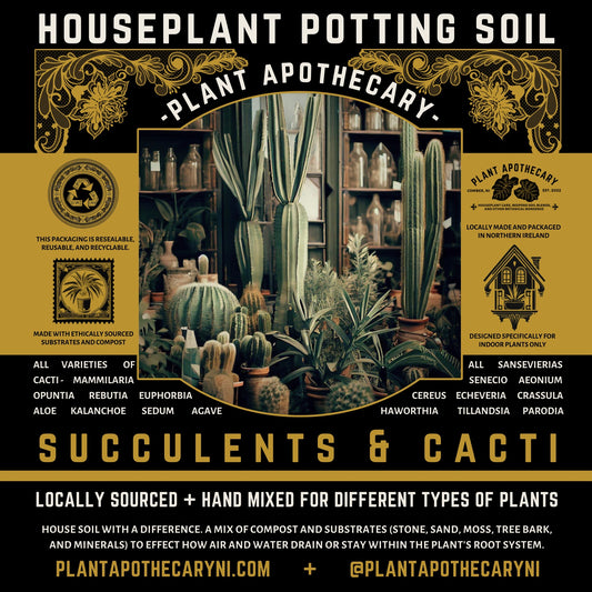 Succulents and Cacti Potting Soil