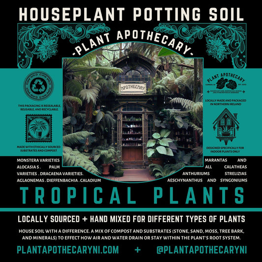 Tropical Plant Potting Soil