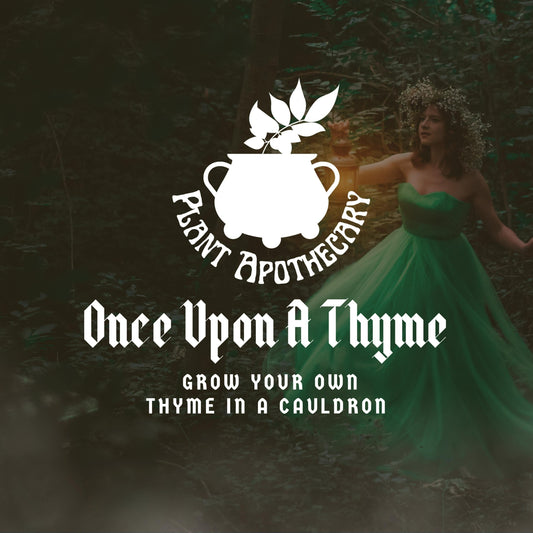 Once Upon A Thyme: Grow Thyme In A Cauldron