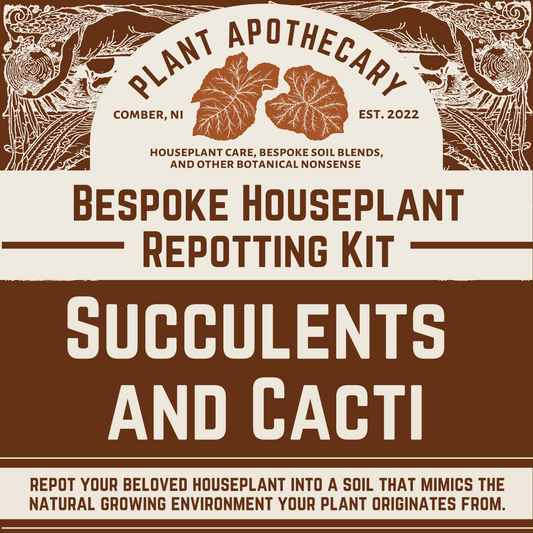Bespoke Repotting Kit: Succulents and Cacti