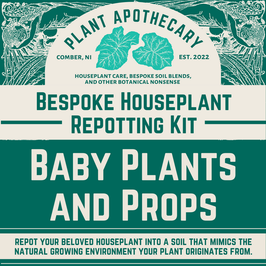 Bespoke Repotting Kit: Baby Plants and Props