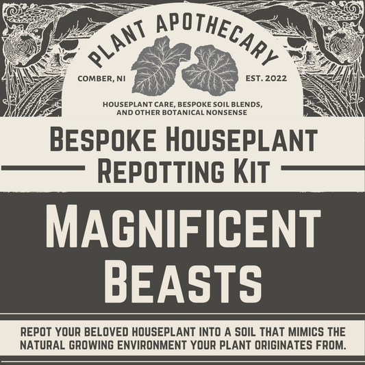 Bespoke Repotting Kit: Indoor Giants