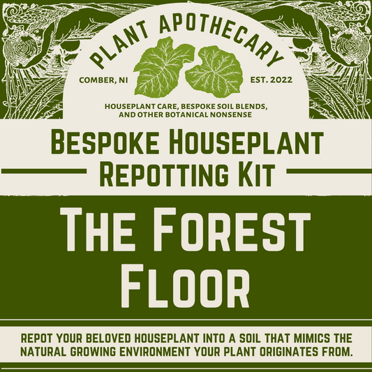 Bespoke Repotting Kit: Forest Plants