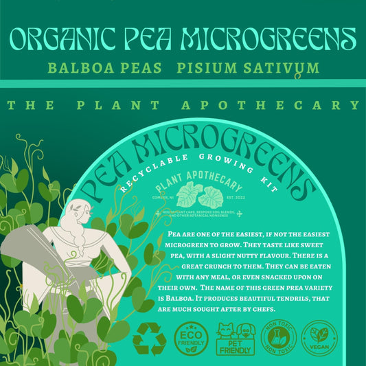 Pea Microgreens: Recyclable Grow Kit