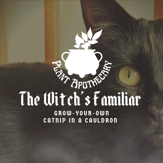 The Witch’s Familiar: Grow Your Own Catnip In A Cauldron