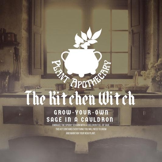 The Kitchen Witch: Grow Your Own Sage In A Cauldron